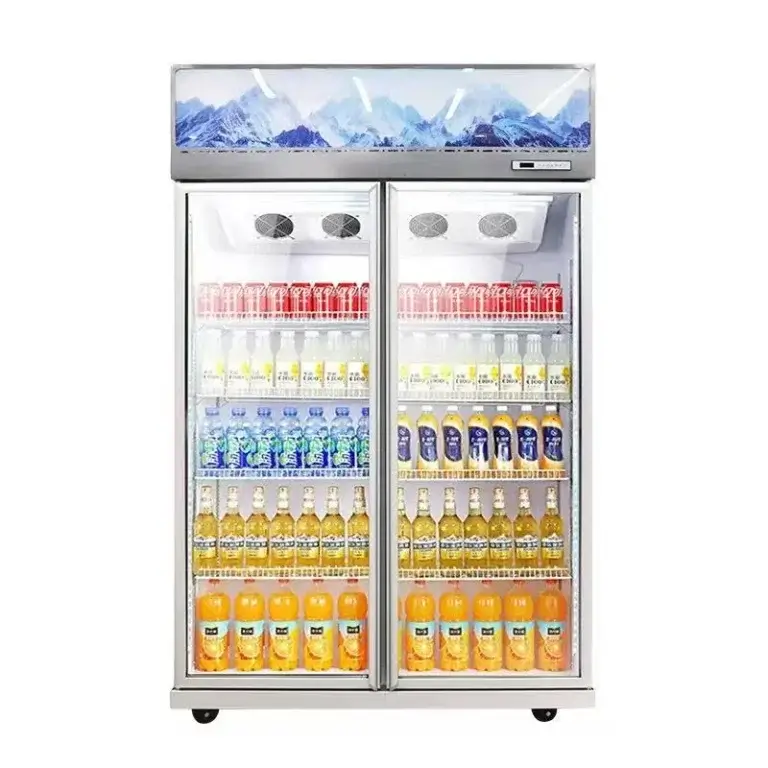 Double Glass Doors Beverage Refrigerator with Top Compressor