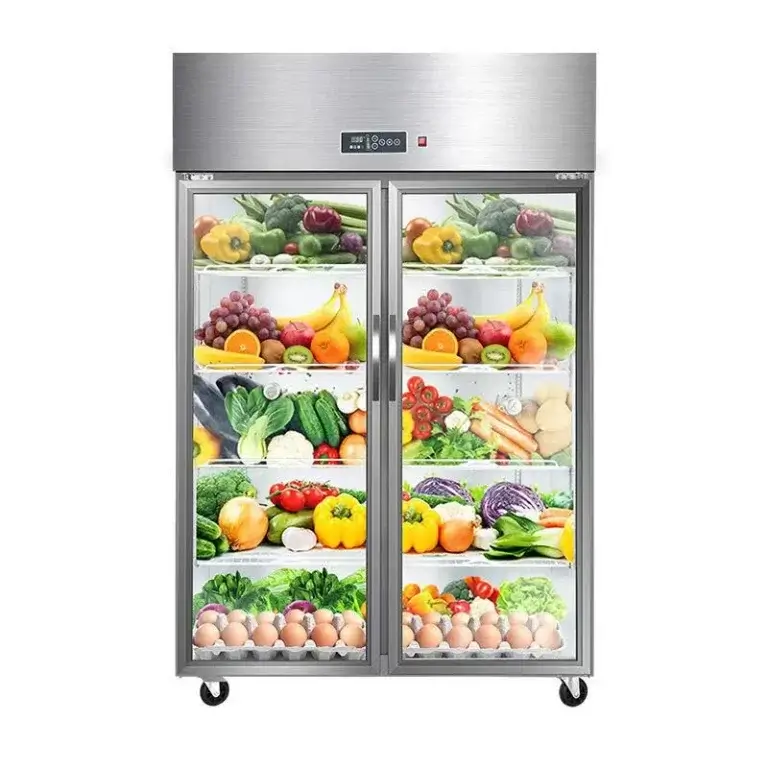 Two Doors Stainless Steel Refrigerator